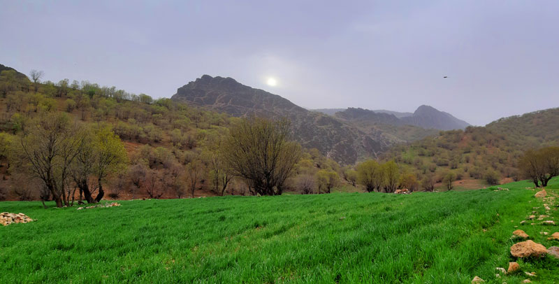 منطقه زرین چغا (عکس: فرزان تریپ)