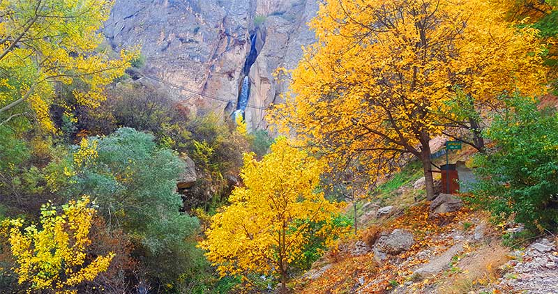 شاهان دشت در پاییز عکس از محمود کاظمی