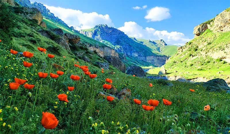 شروان دره عکس از آتیلا دیبا