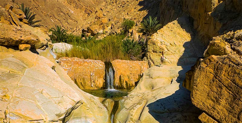  باغویه (عکس: محمد قائدندومی)